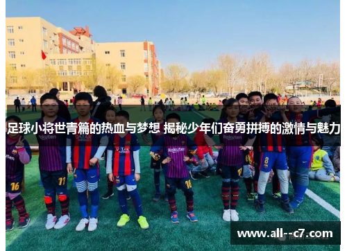 足球小将世青篇的热血与梦想 揭秘少年们奋勇拼搏的激情与魅力