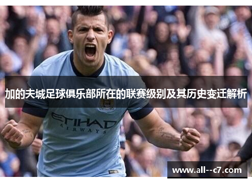 加的夫城足球俱乐部所在的联赛级别及其历史变迁解析