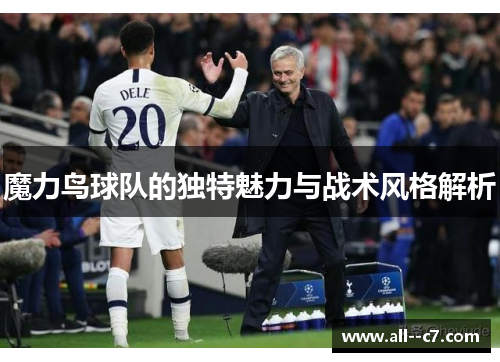 魔力鸟球队的独特魅力与战术风格解析