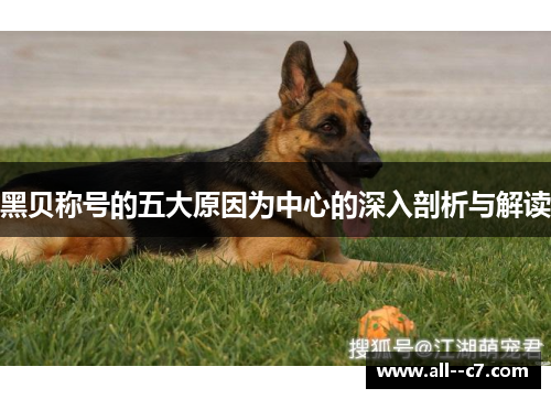黑贝称号的五大原因为中心的深入剖析与解读