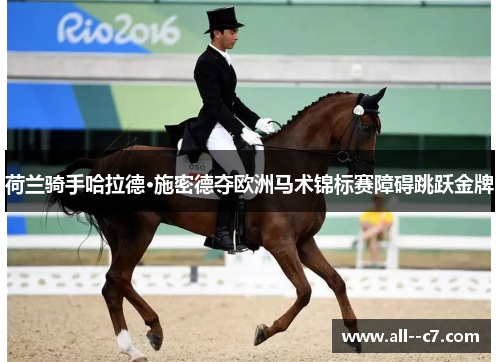 荷兰骑手哈拉德·施密德夺欧洲马术锦标赛障碍跳跃金牌