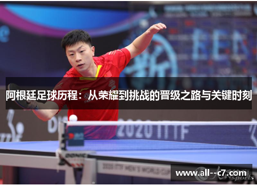 阿根廷足球历程：从荣耀到挑战的晋级之路与关键时刻